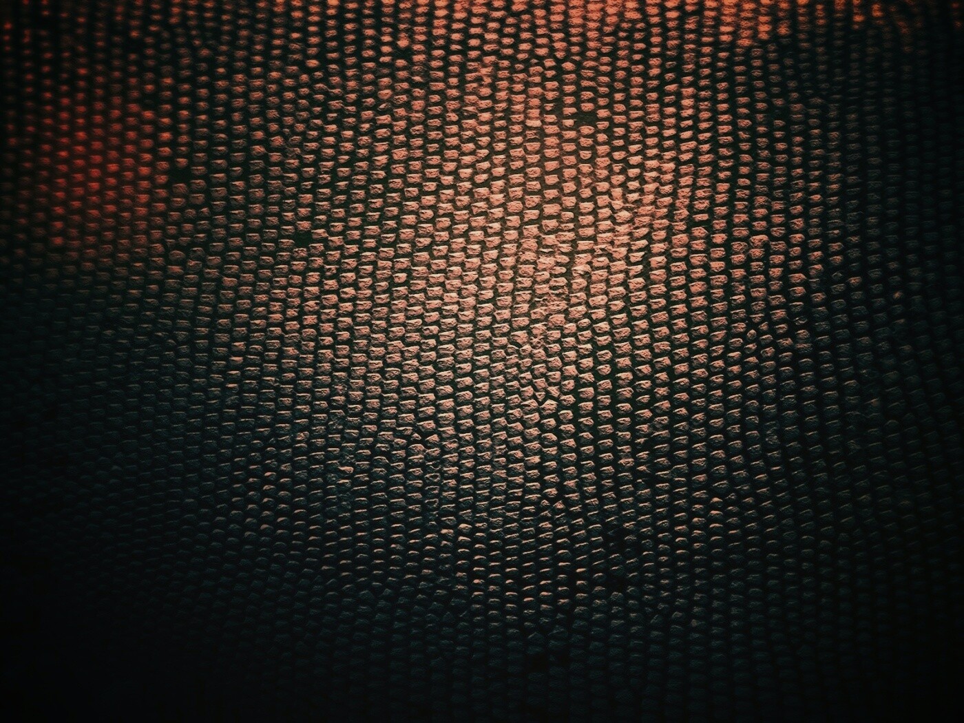 Чешуйчатые обои обои