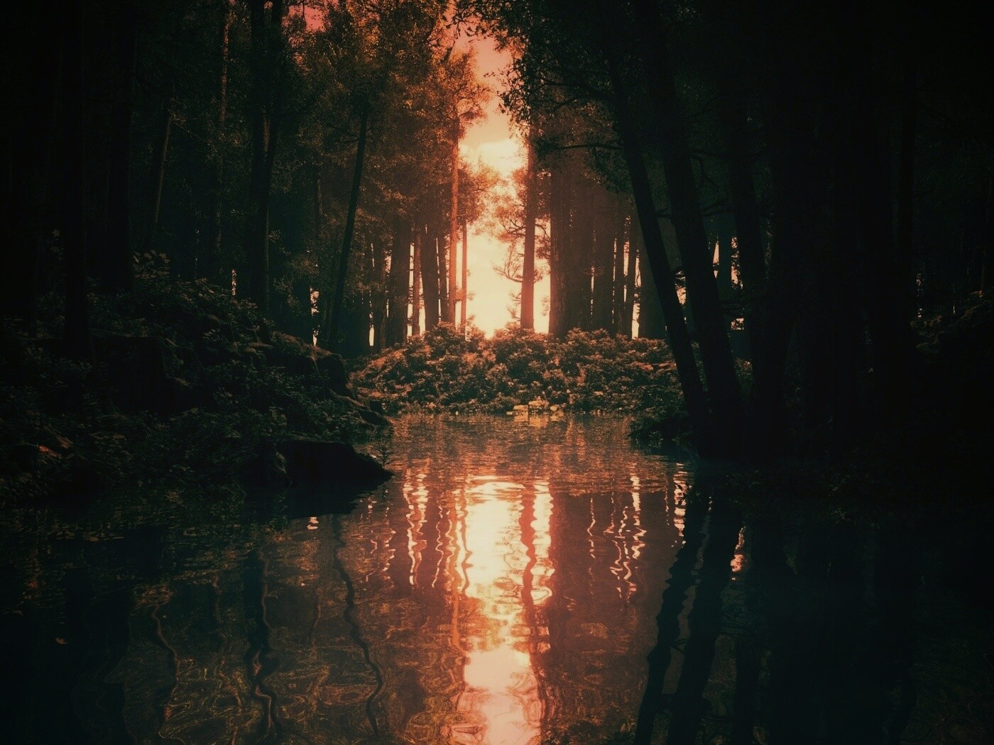 Болото в лесу обои