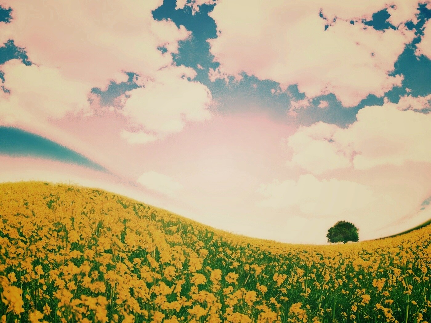 Искаженный мир обои