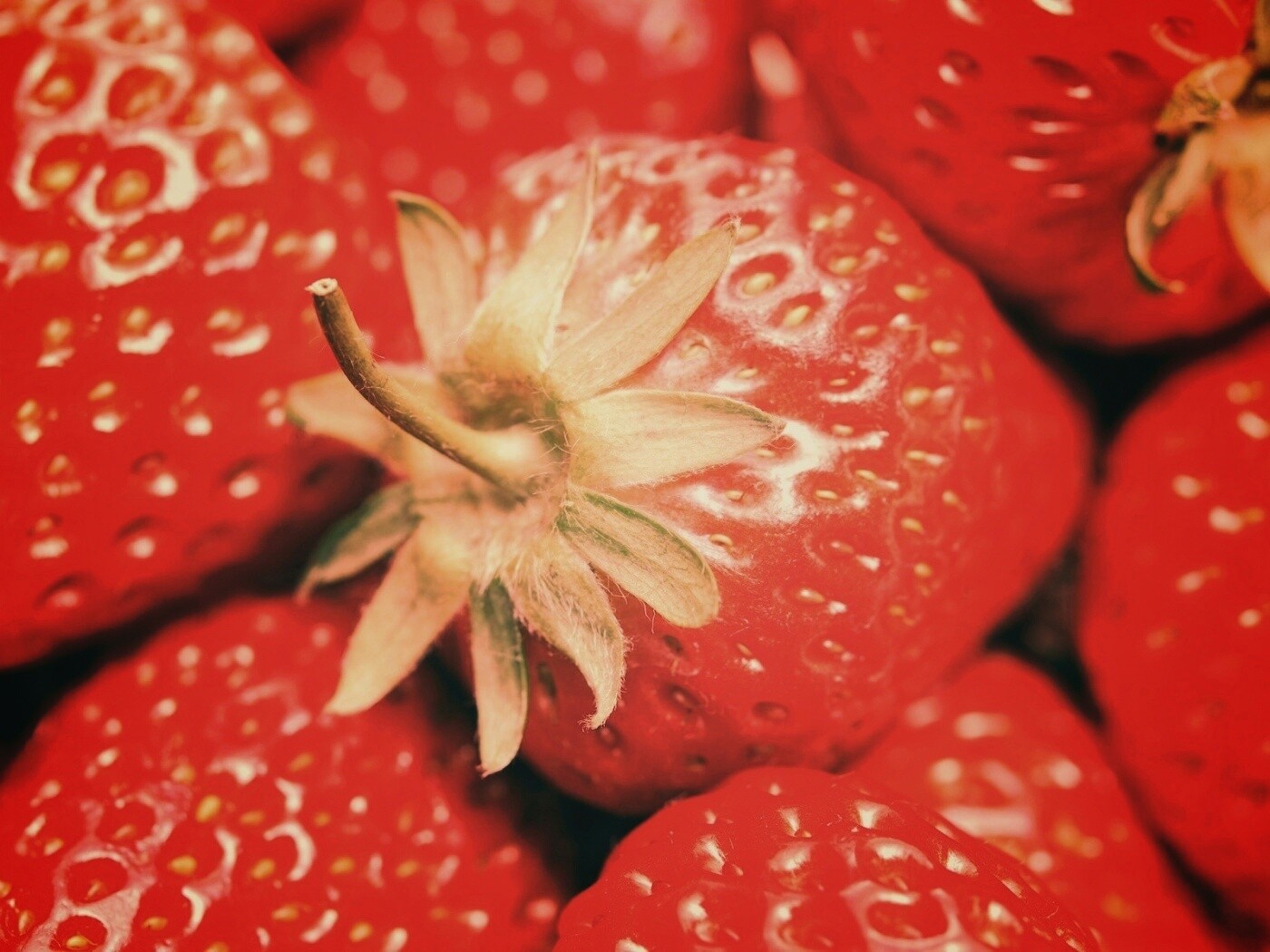 Сочная клубничка обои