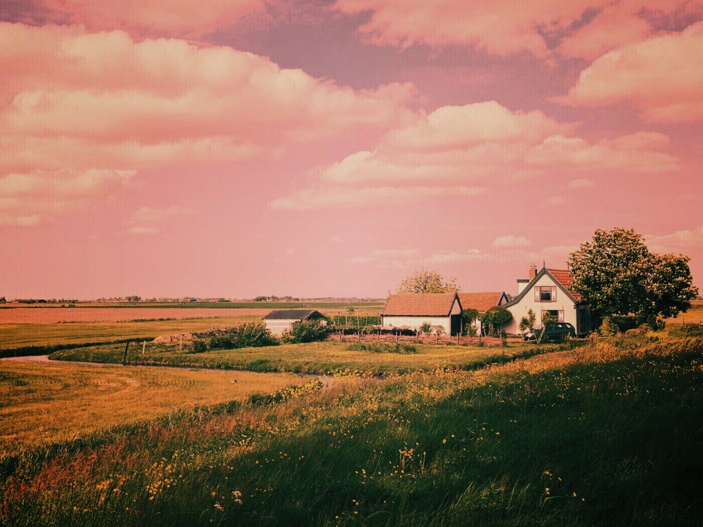 дом на лугу обои