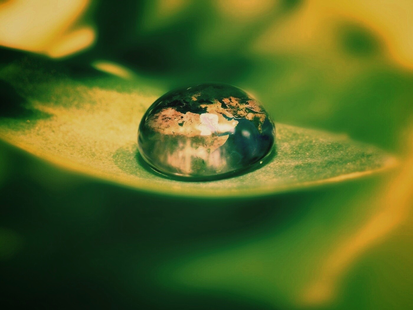 Целый мир в капле воды обои