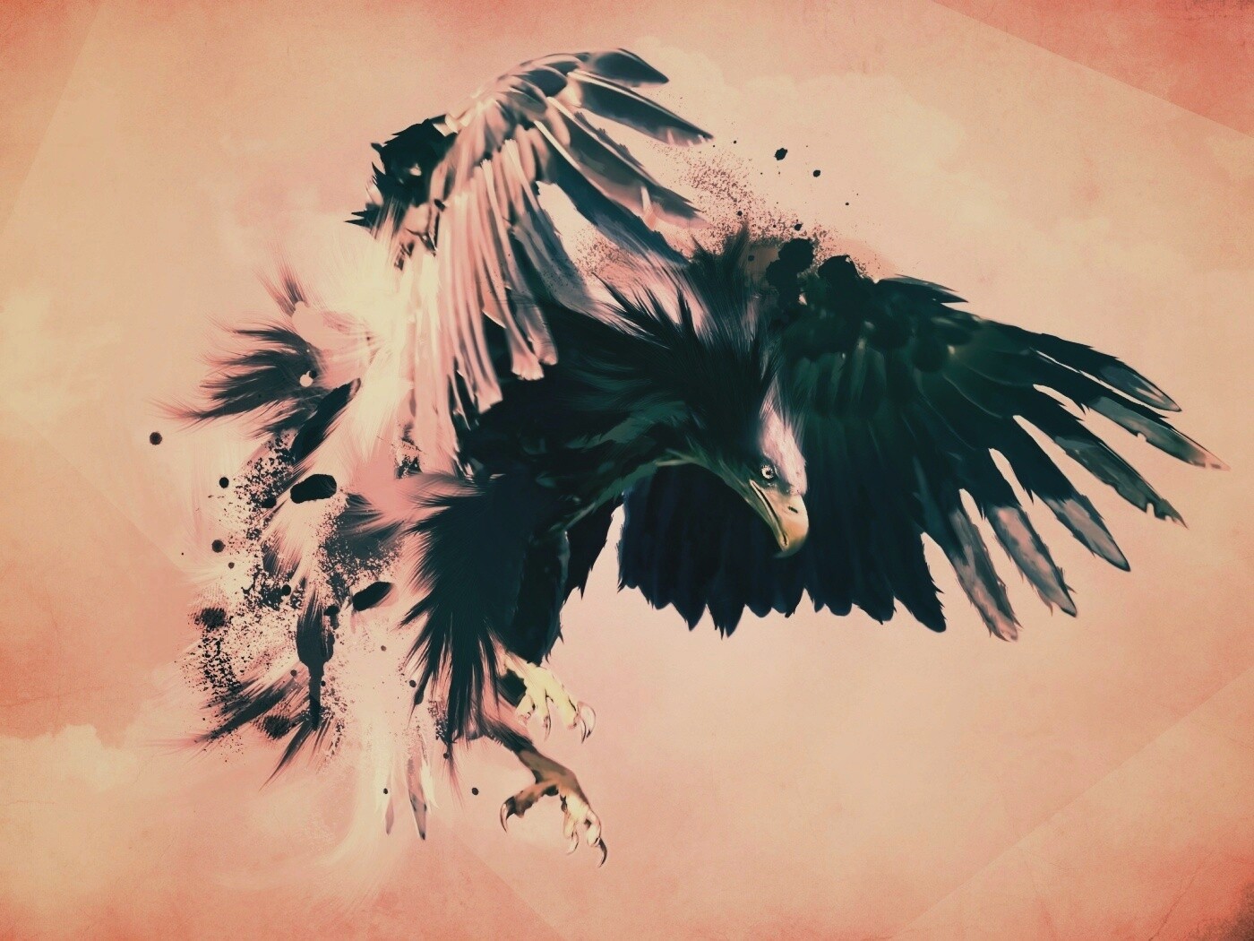 Скетч с орлом обои