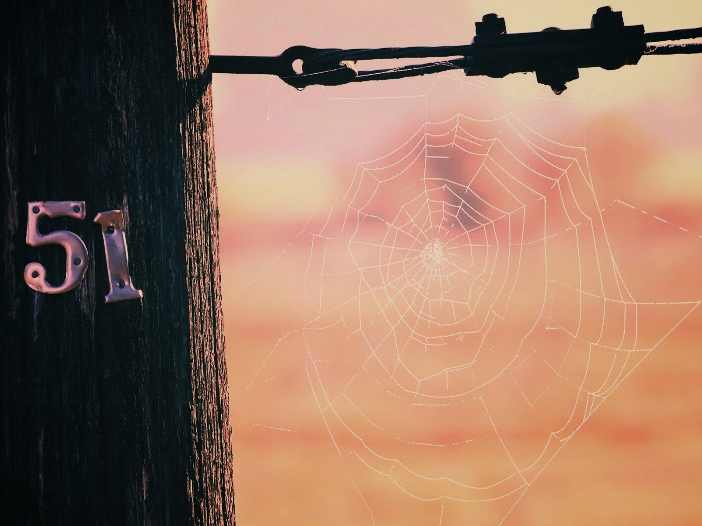 Паутина 51 обои