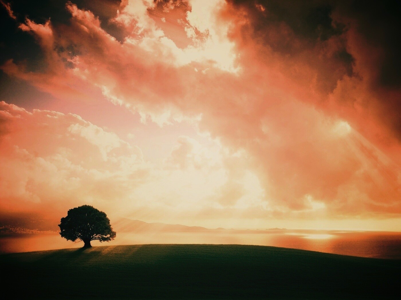 Холм и дерево обои