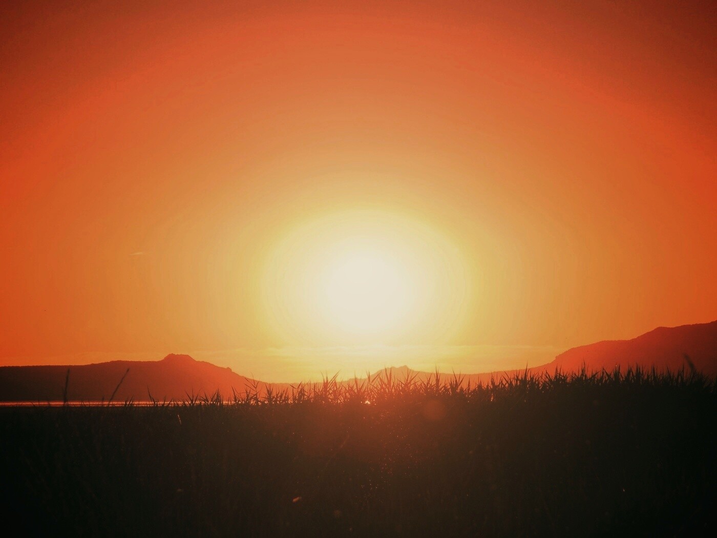 Сельский закат обои