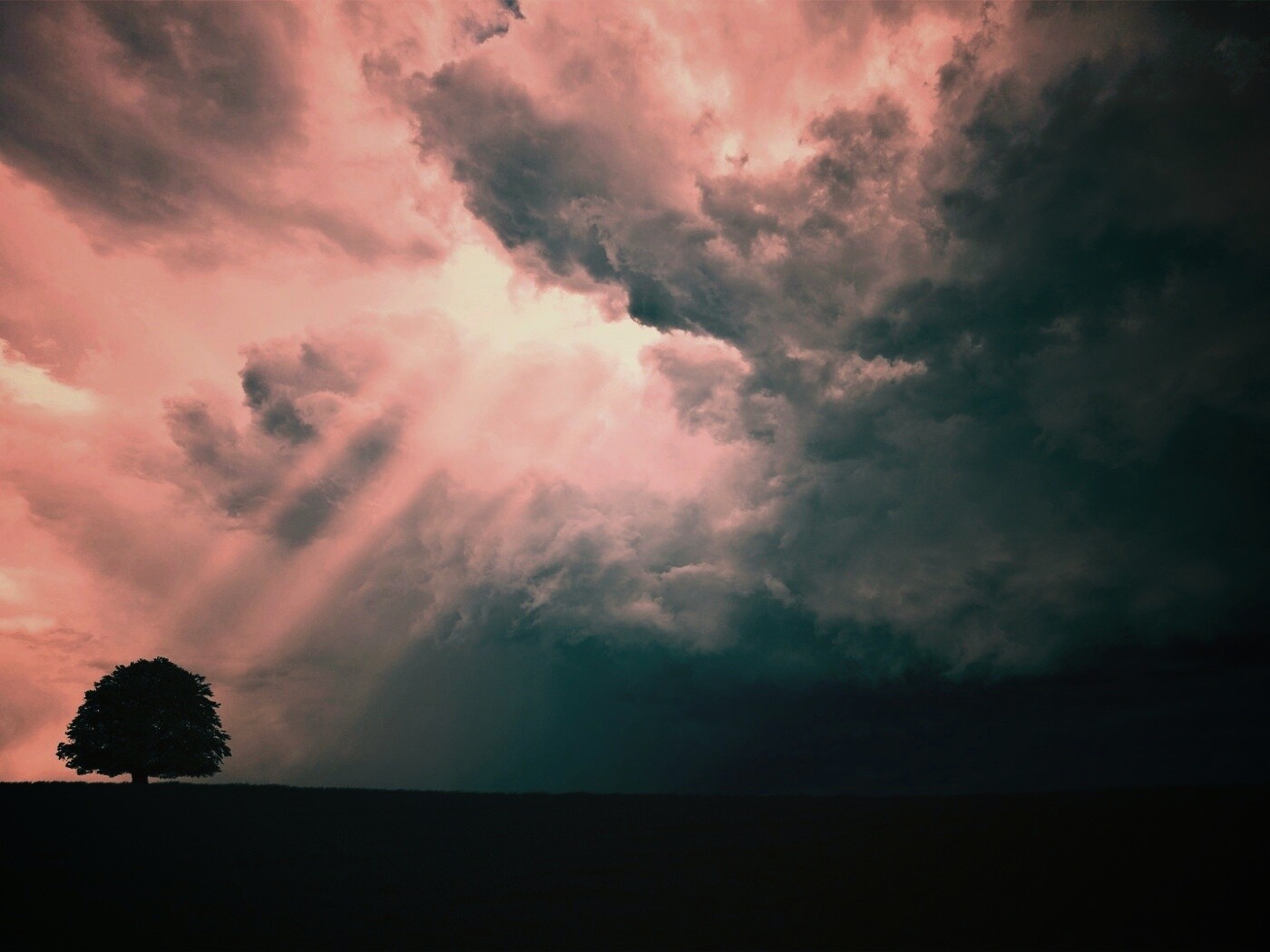 Избранный обои