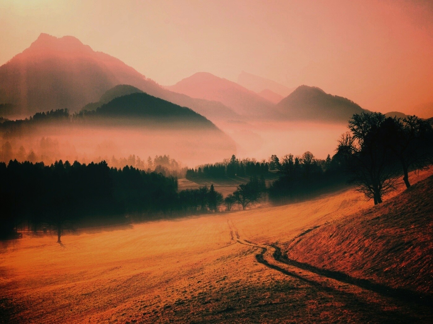 Дорога в туманную долину обои