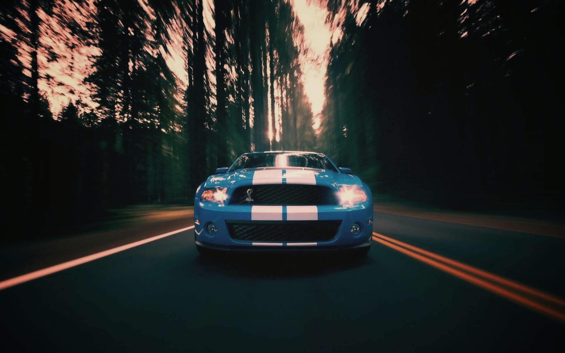 Форд Шелби обои