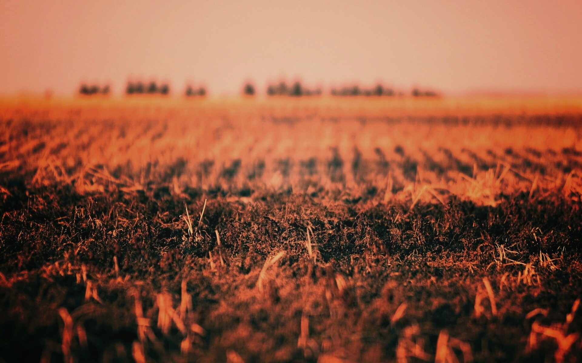 Поле перед вспашкой обои