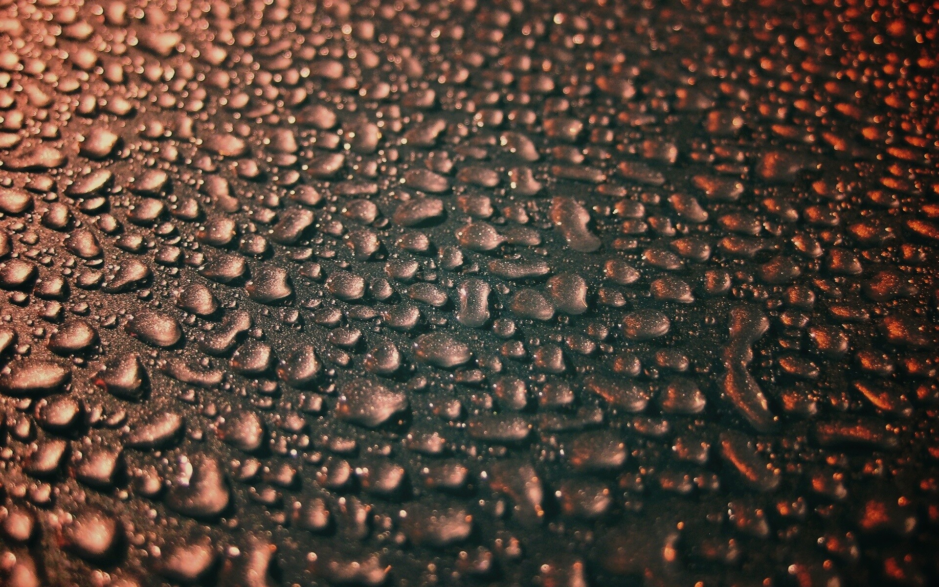 Вода собирается в капли обои