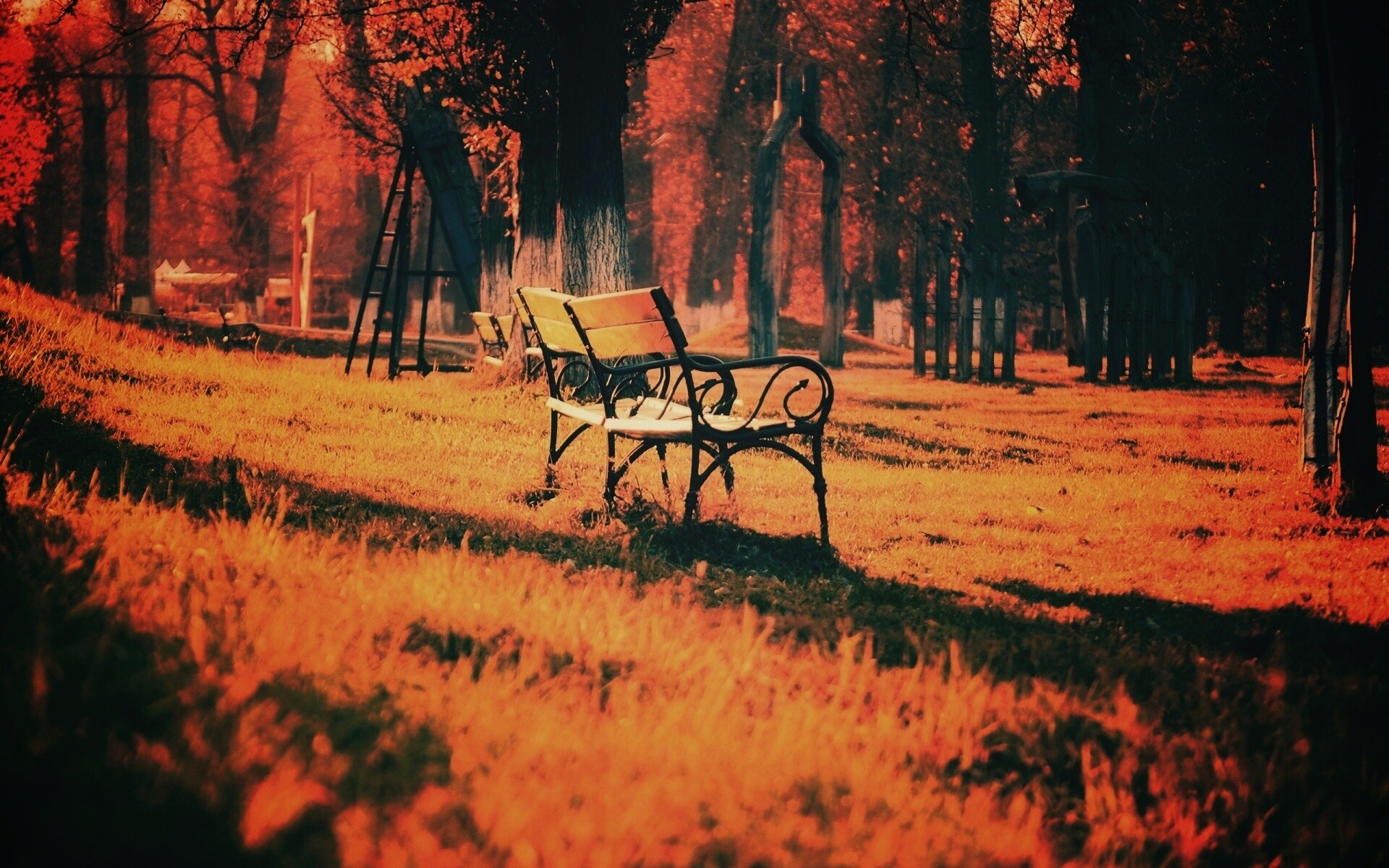 Скаймейка в осеннем парке обои