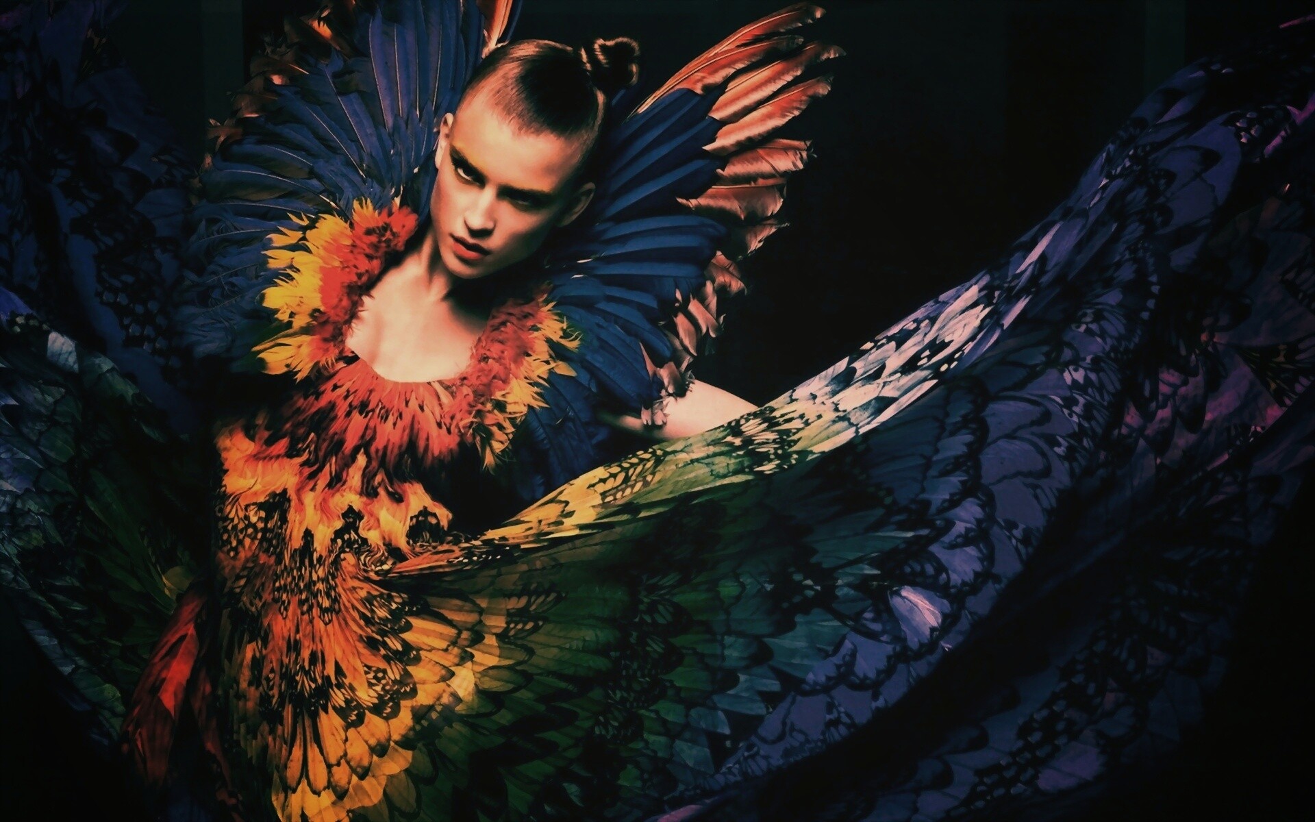 Костюм жар птицы обои