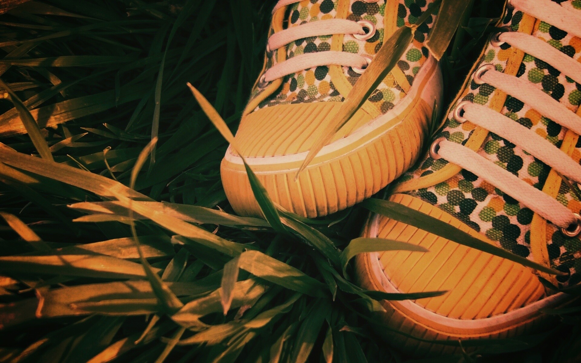 Желтые кеды в горошек обои