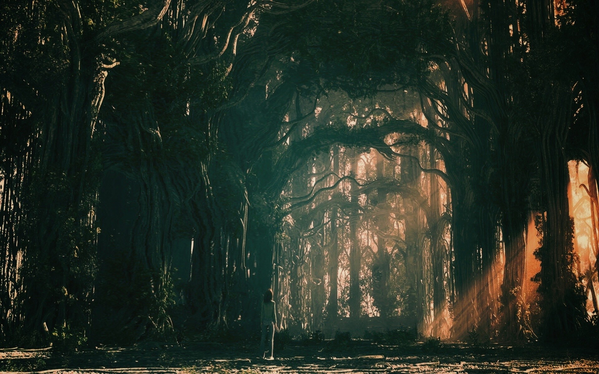 Одна в сумеречном лесу обои