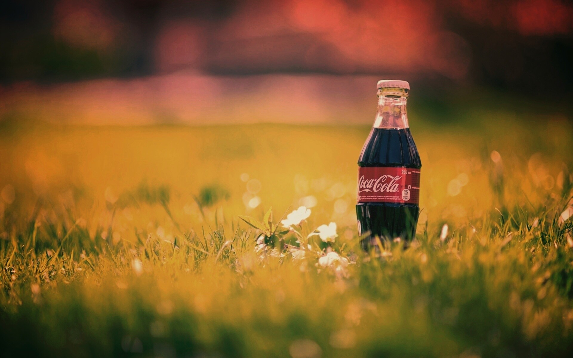 Кока-Кола на траве обои