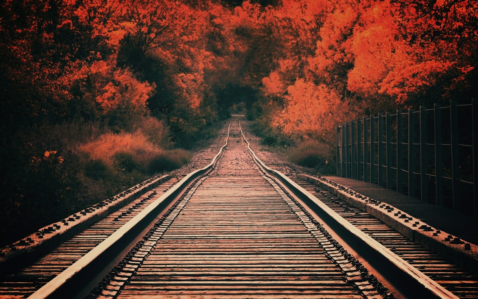 Железная дорога в осеннем лесу обои