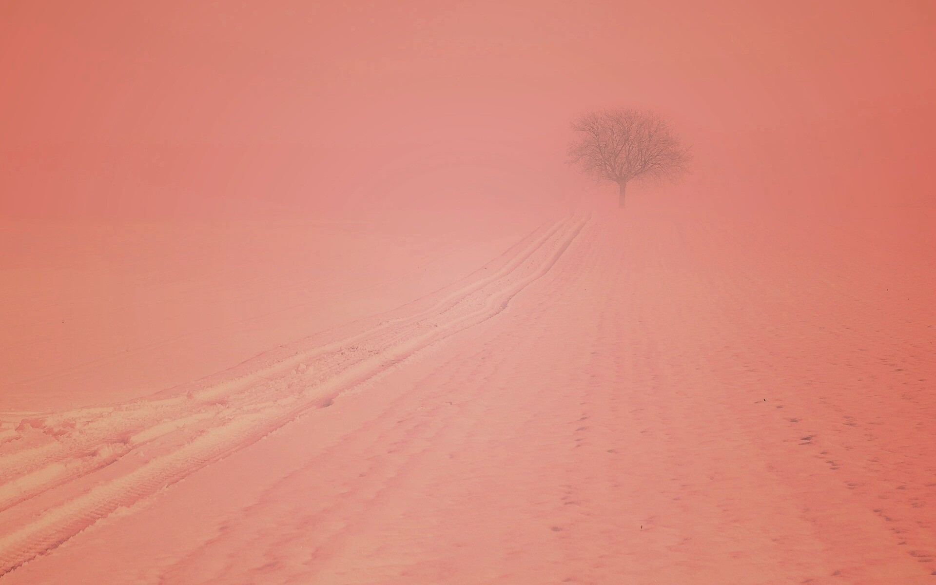 Заснеженное поле обои