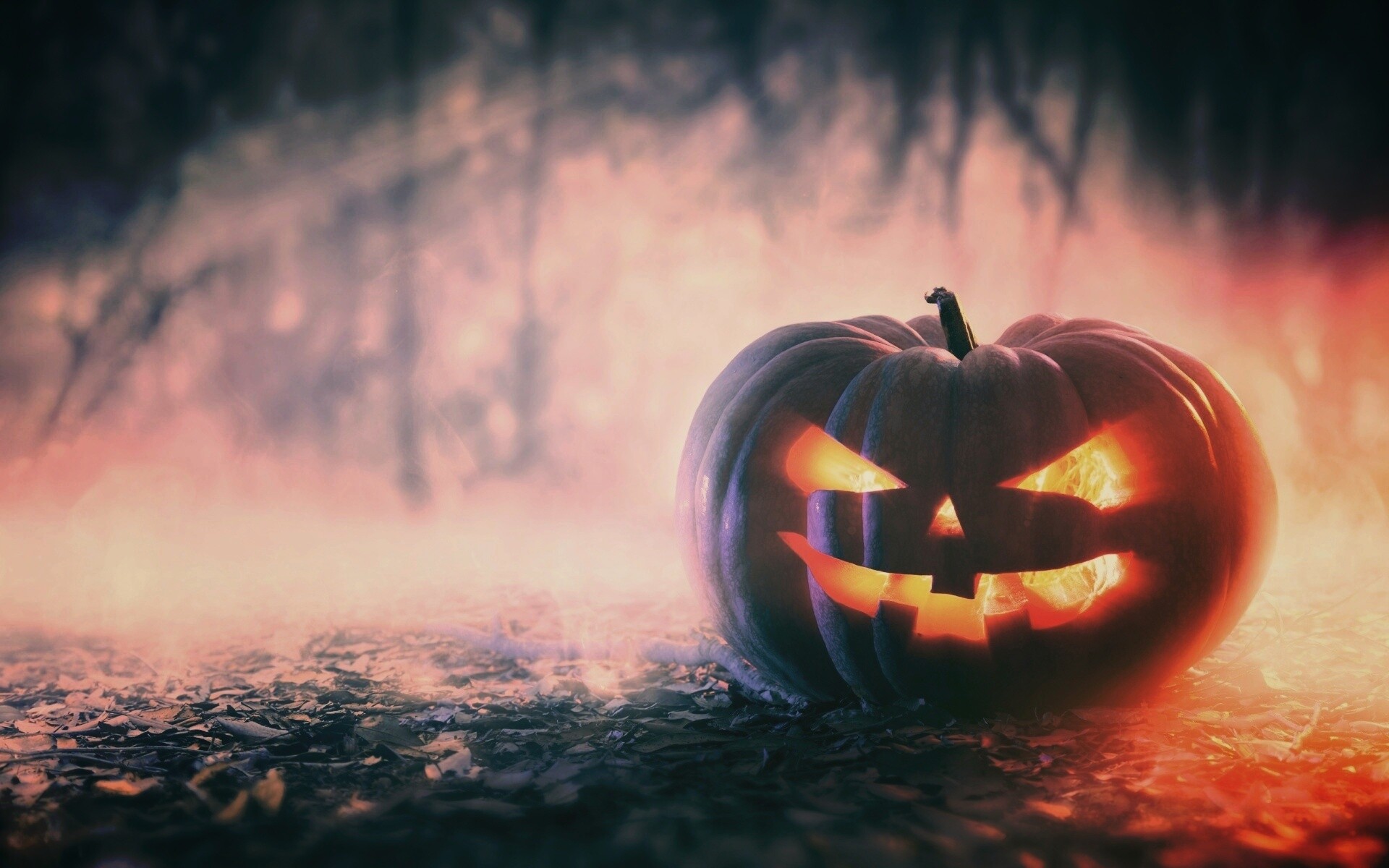 Хэллоуинская тыква обои