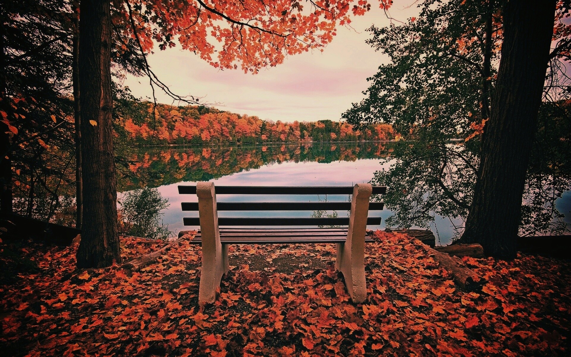 Вид на осеннее озеро обои