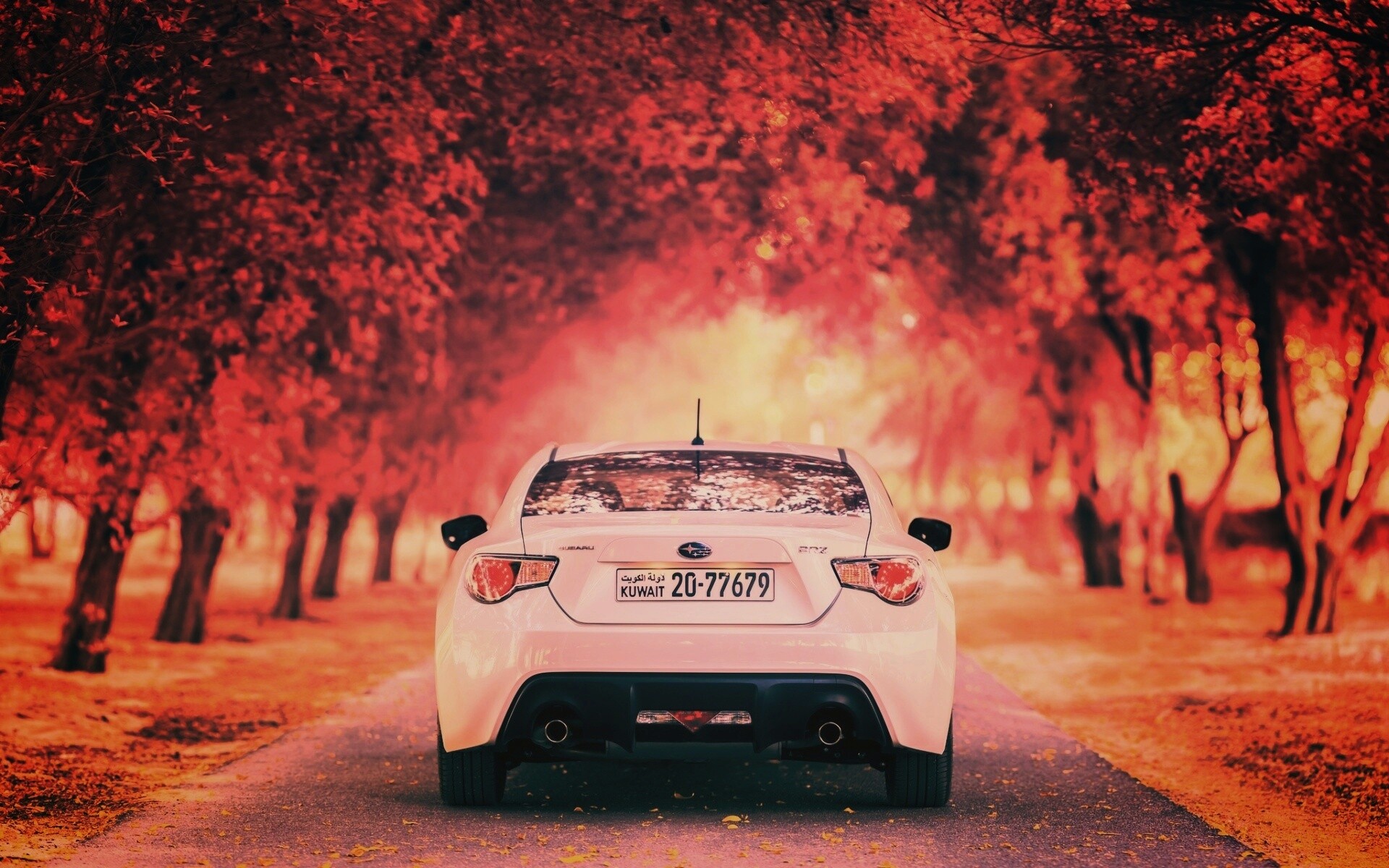 Субару на осенней дороге обои