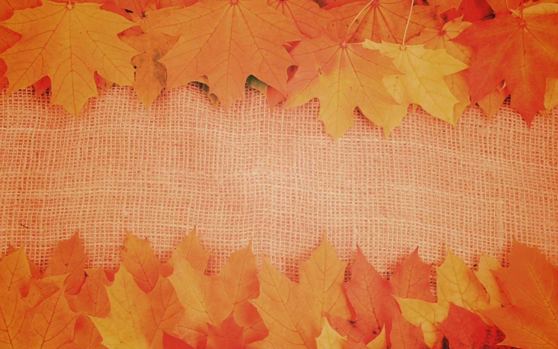 Желтые кленовые листья на холсте обои