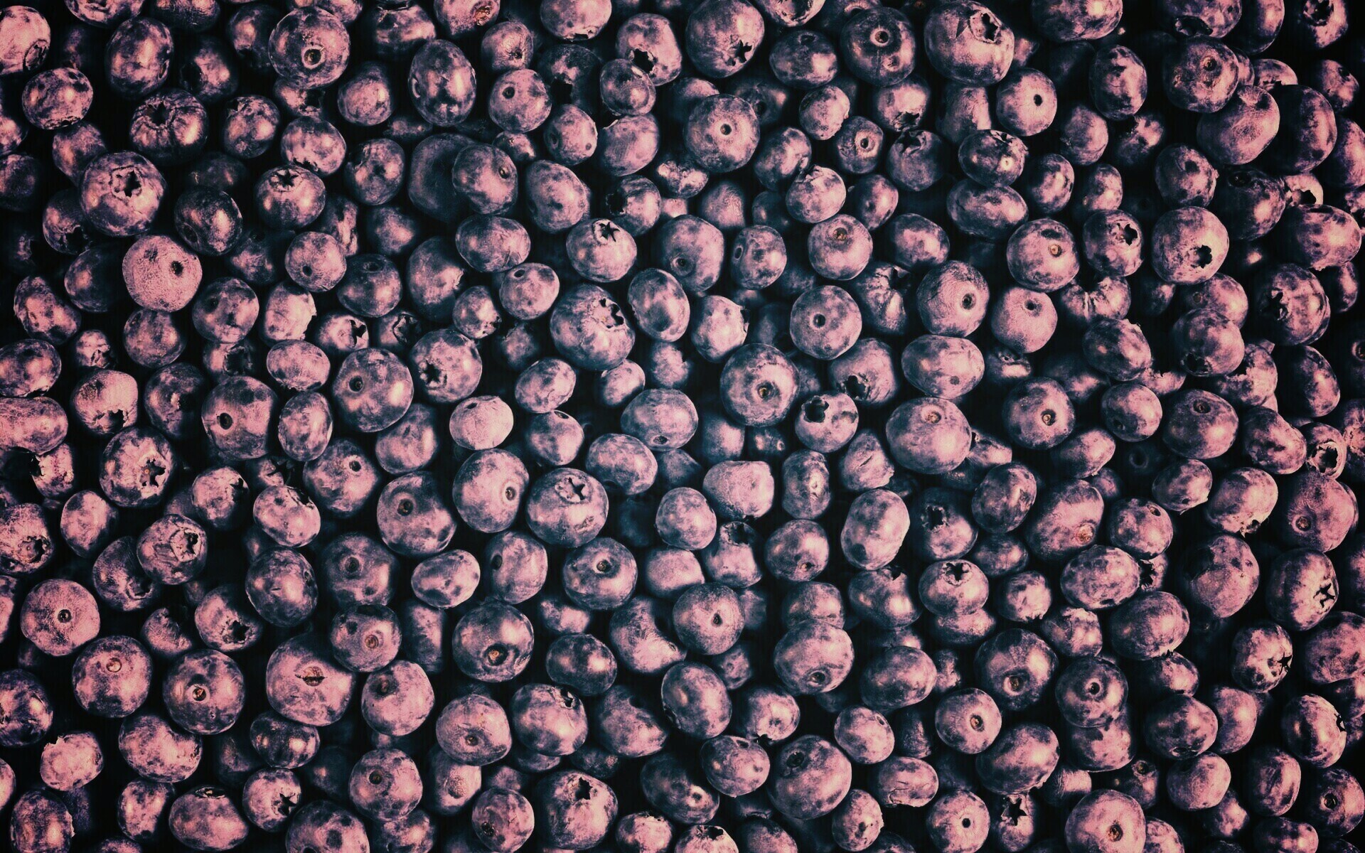 Черника обои