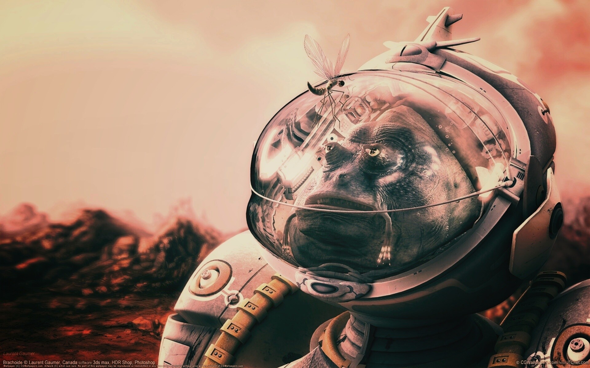 Инопланетянин и стрекоза обои