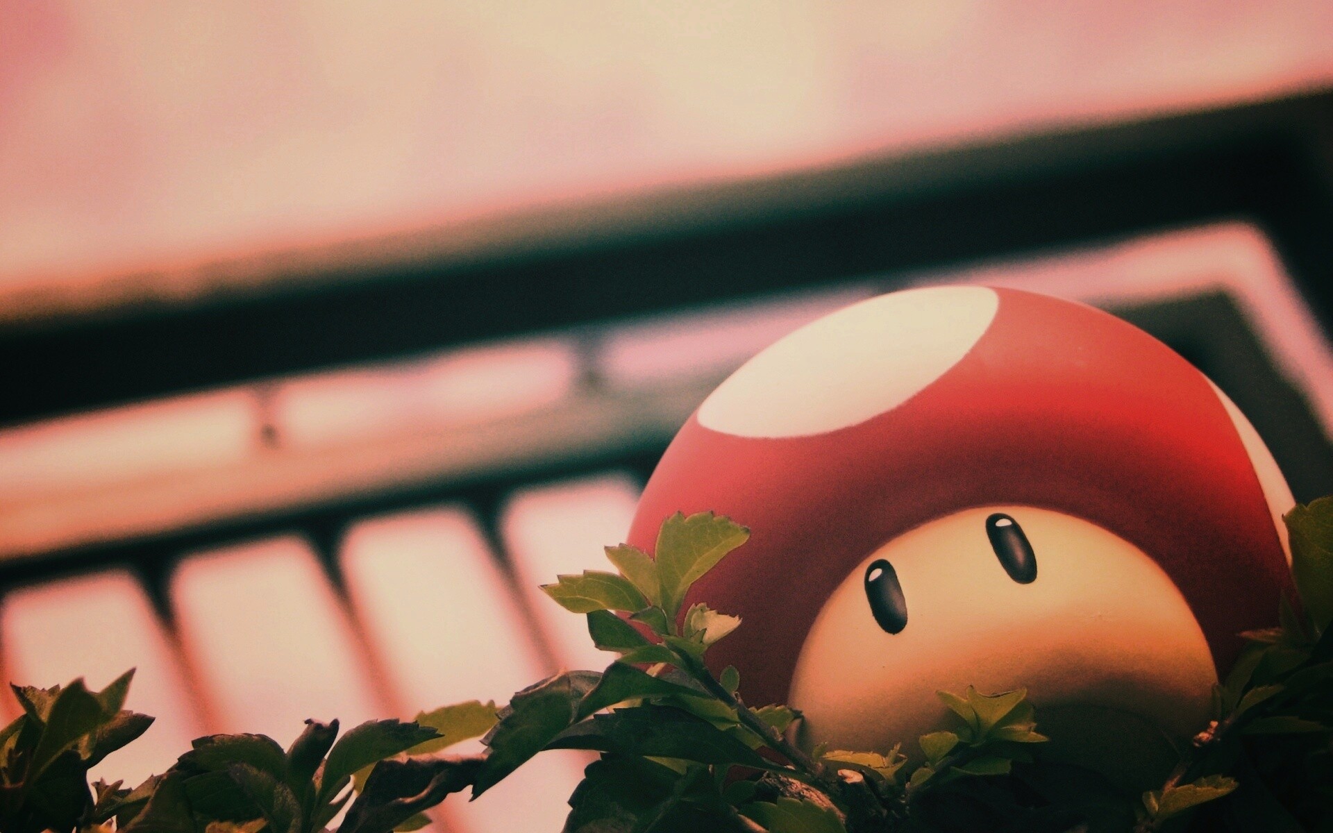 Гриб из Марио обои