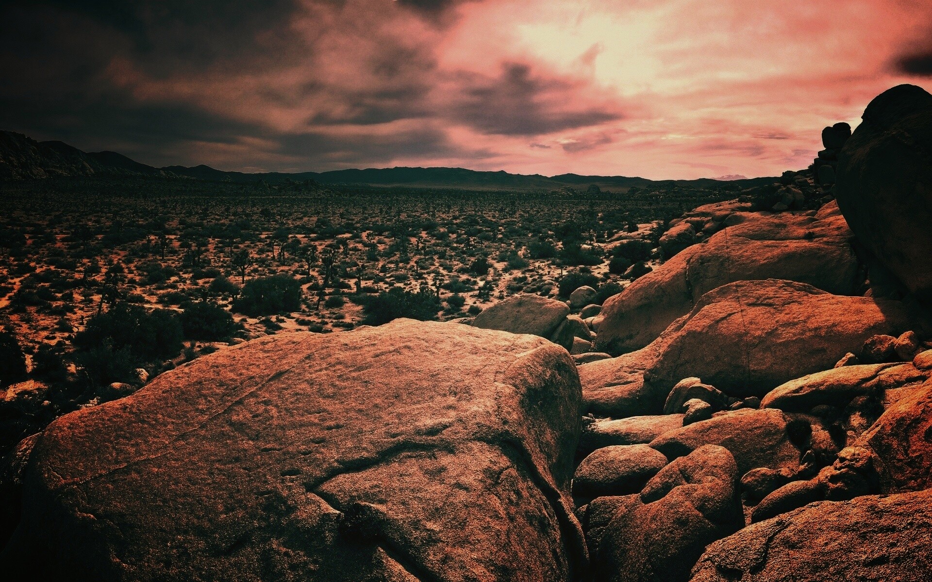 Пустыня Мохаве обои