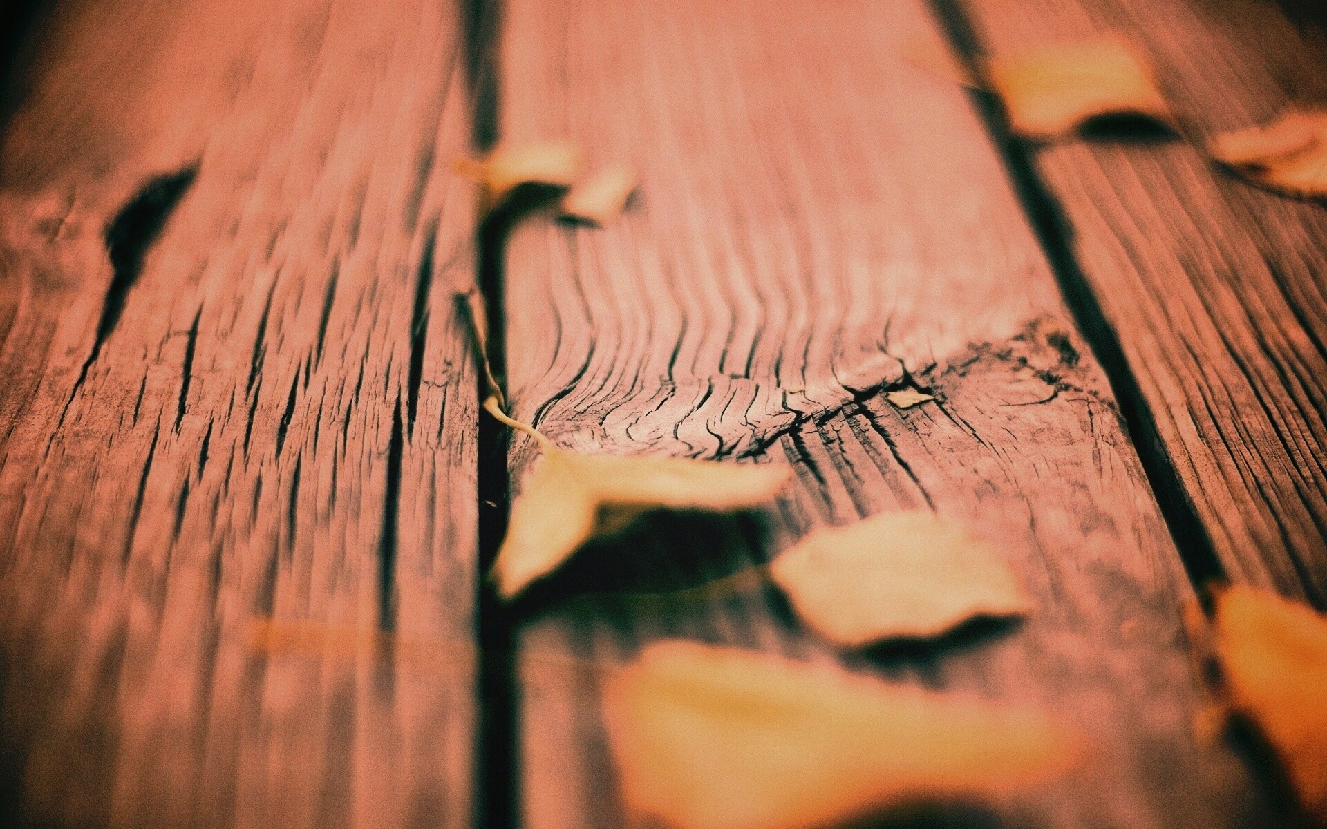 Листья на дощатом полу обои