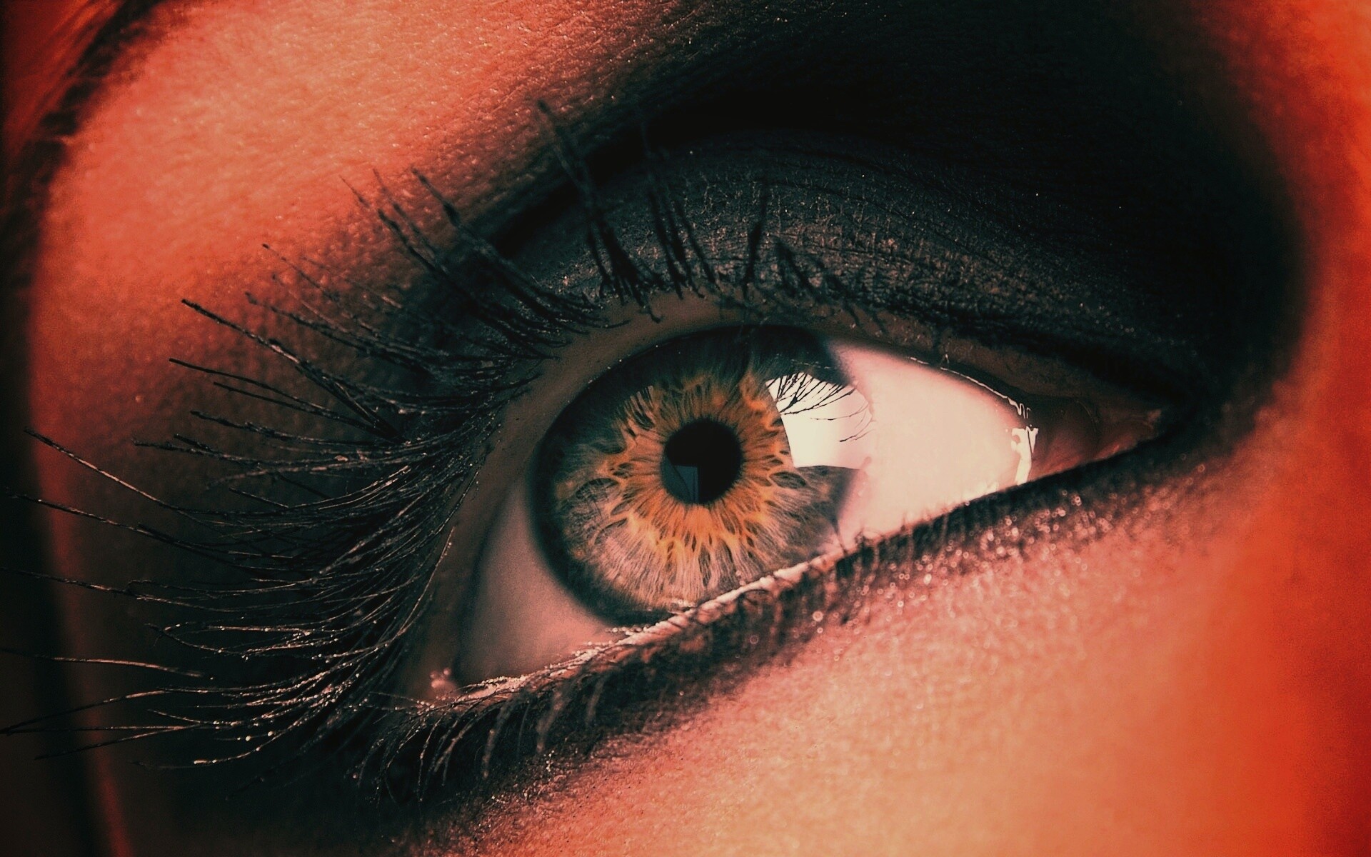 Оранжевый глаз обои