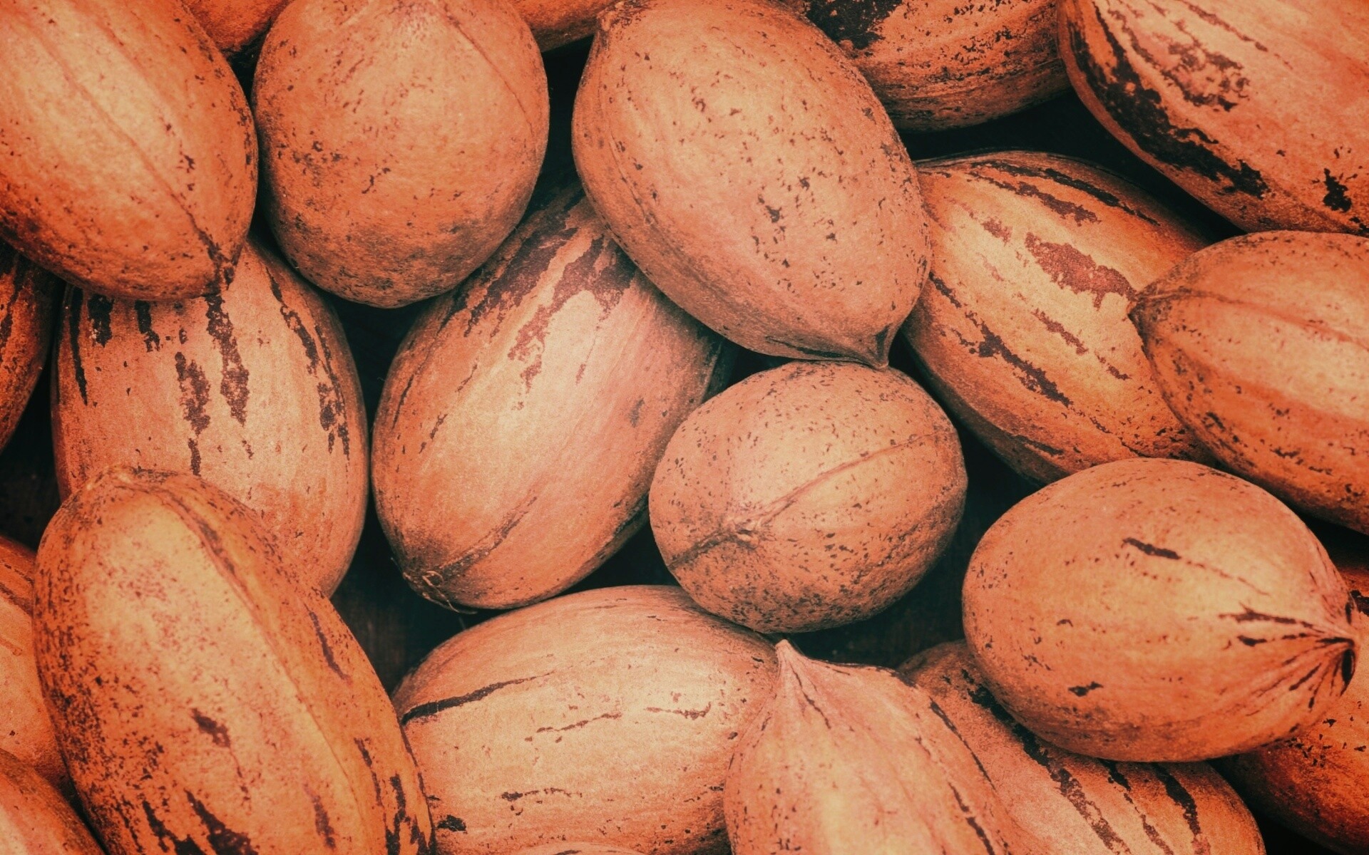 Грецкие орехи обои