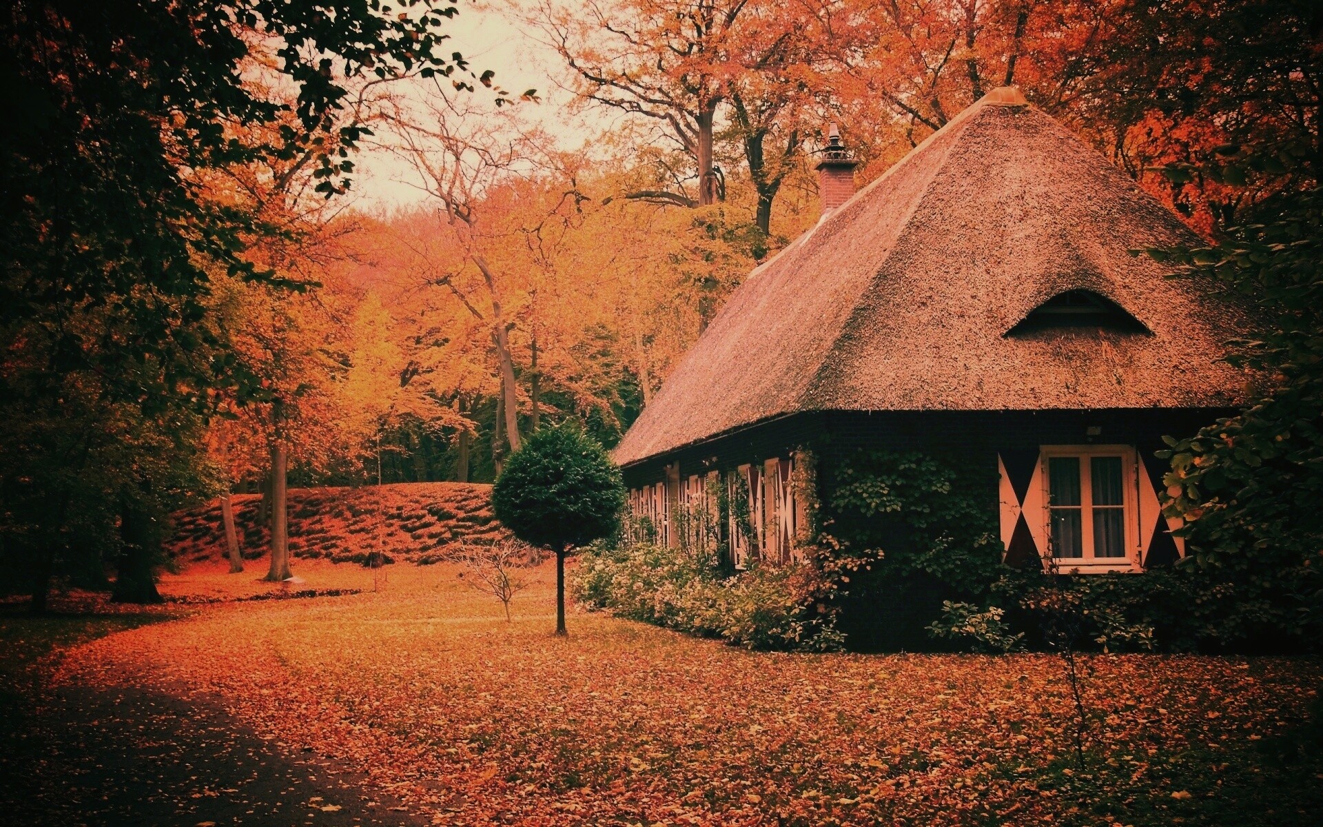Домик в осеннем лесу обои
