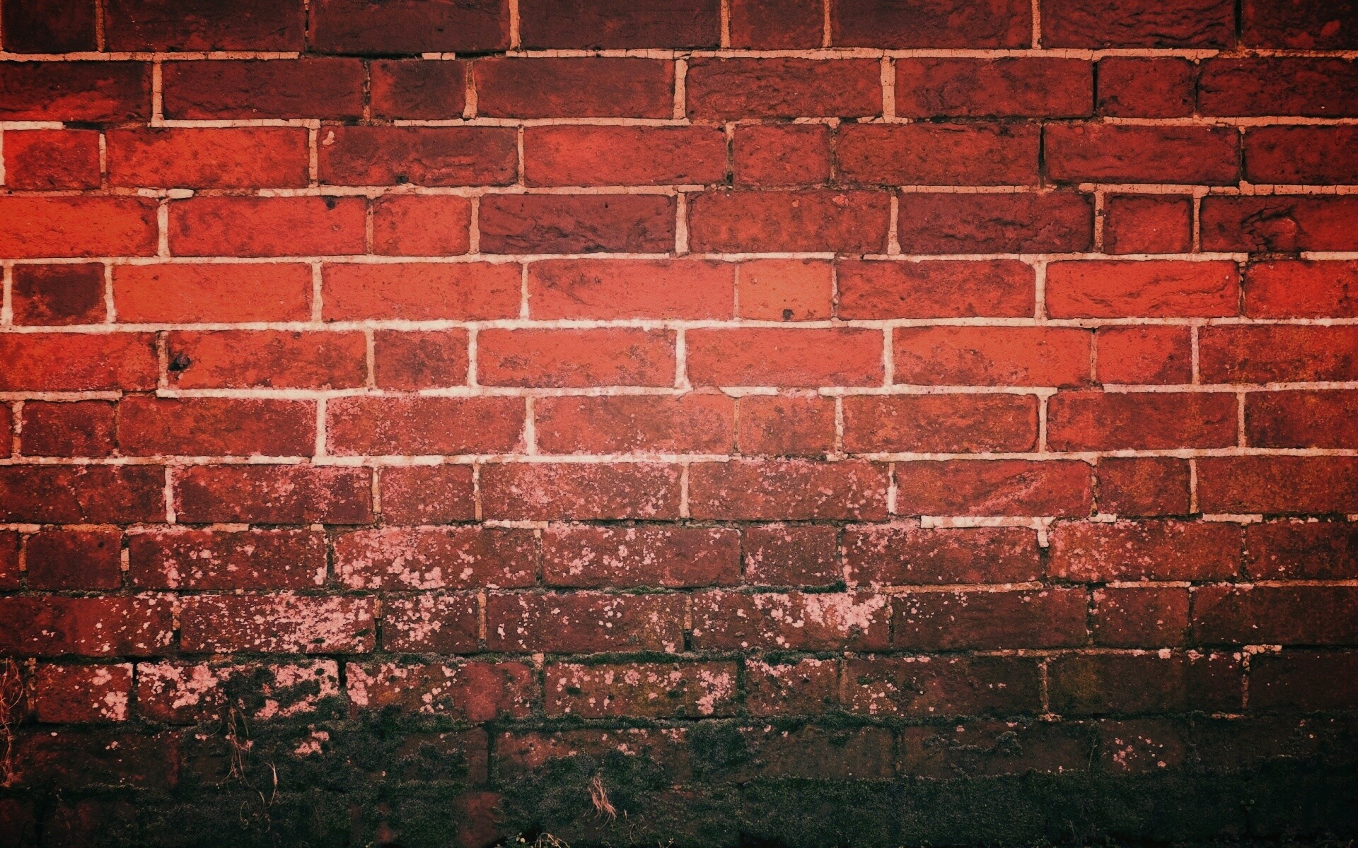 Старая кирпичная стена обои