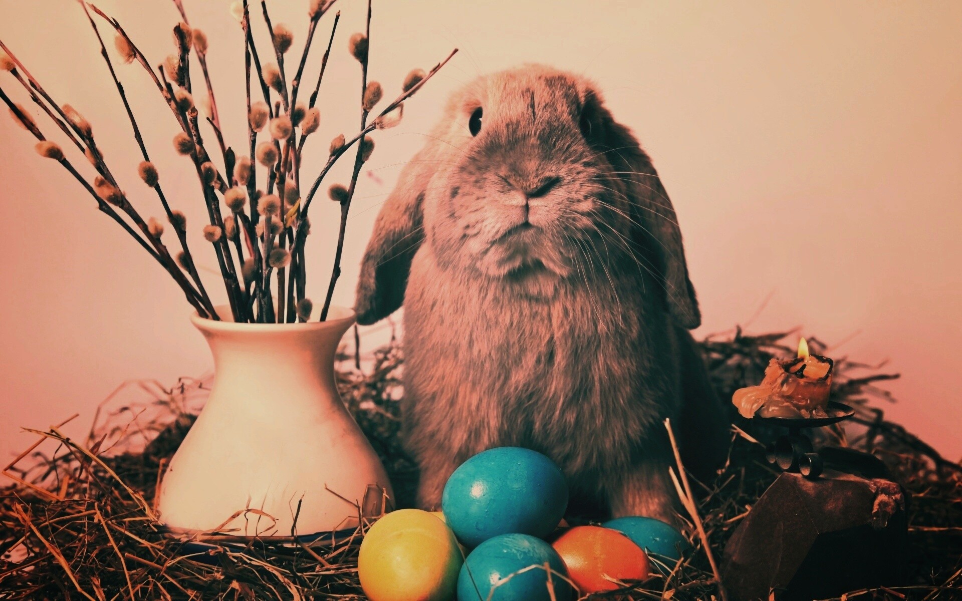 Пасхальный кролик обои