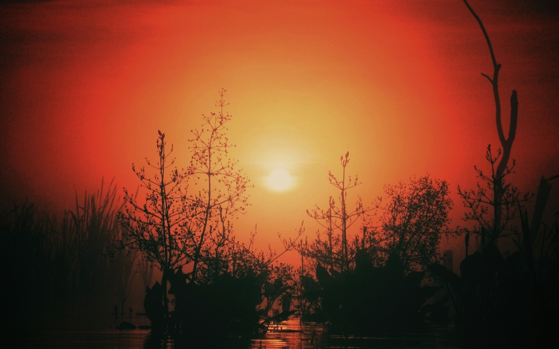 Доисторическое утро обои