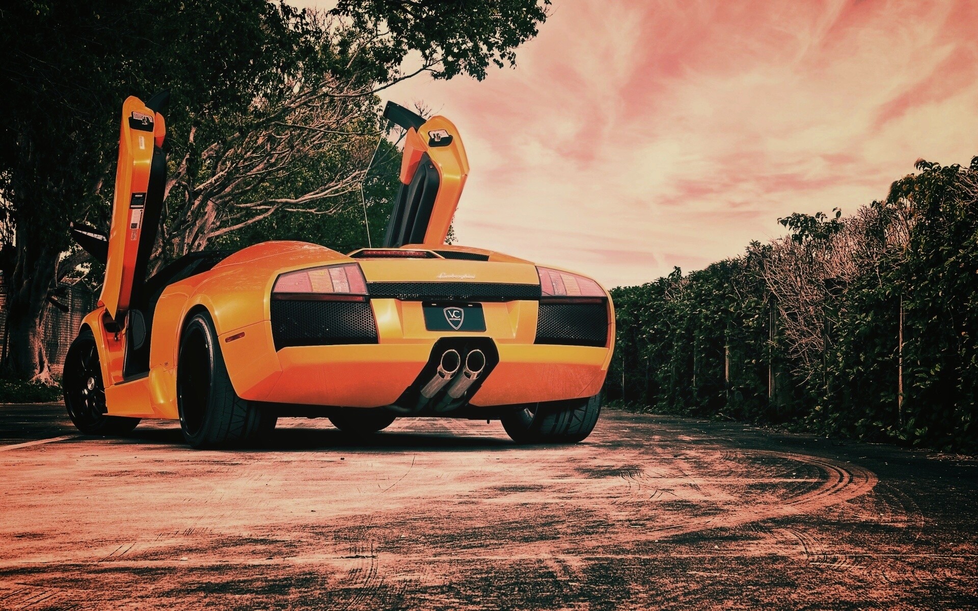 Оранжевая Мюрселаго обои