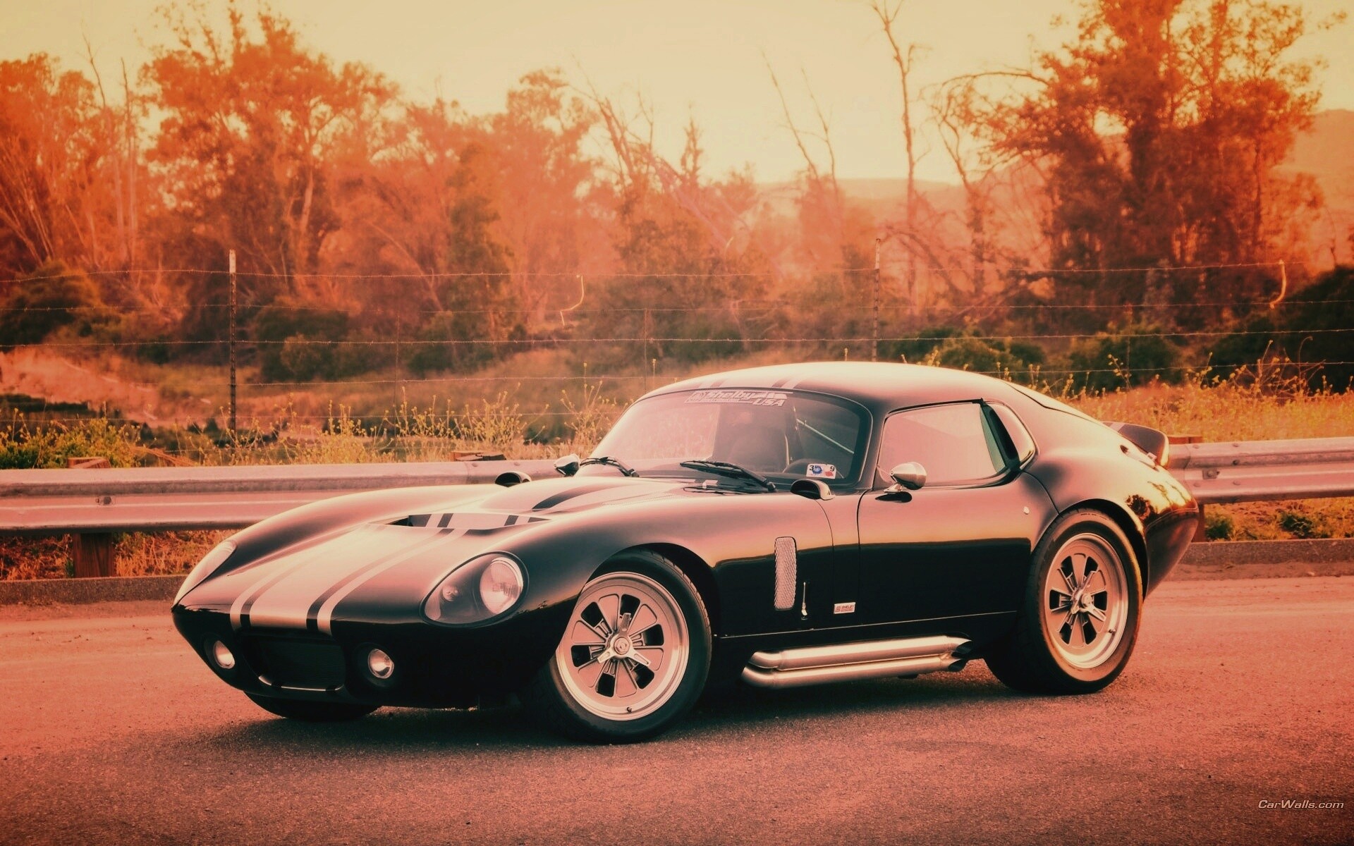 Shelby Daytona обои