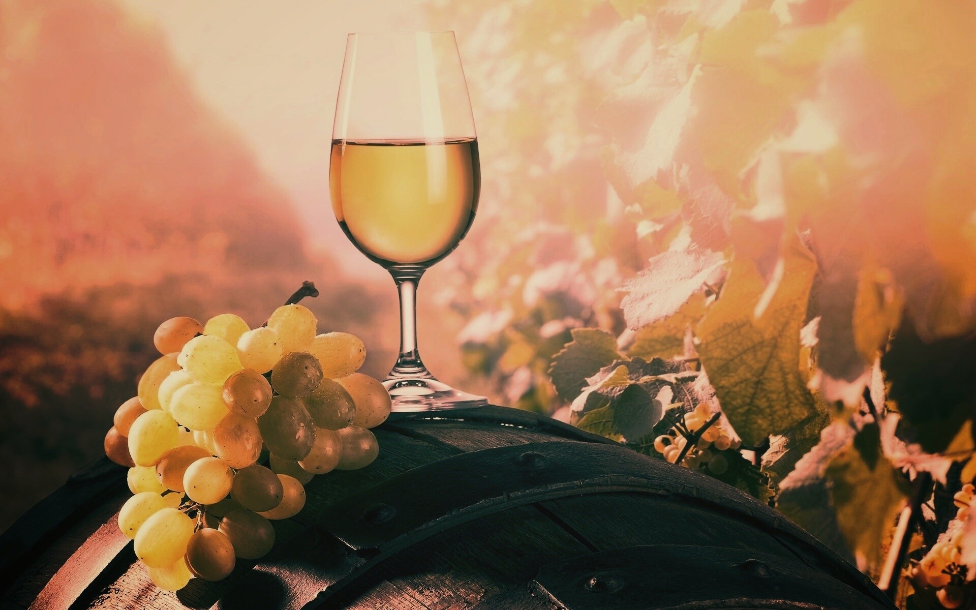 Винная бочка и бокал с белым вином обои