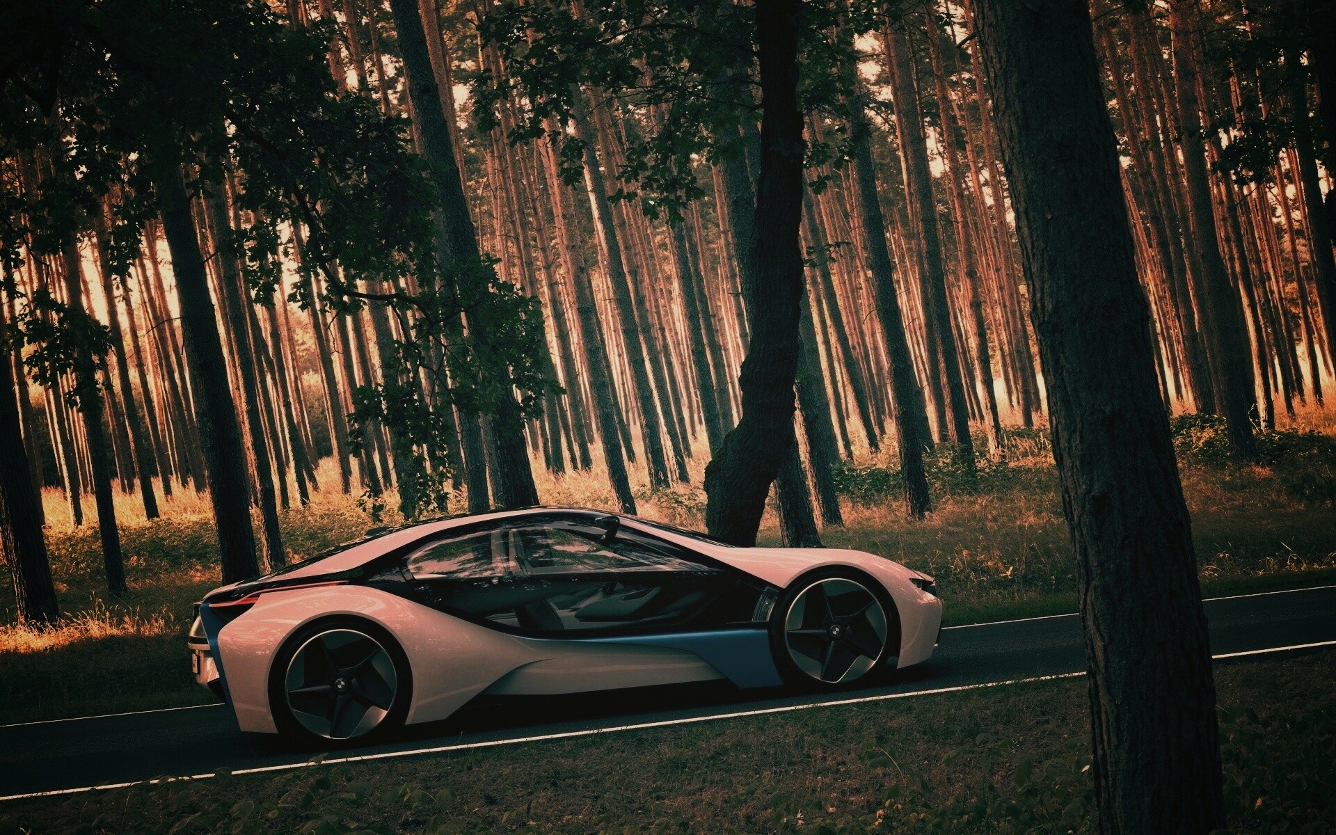 Спорткар BMW на лесной дороге обои