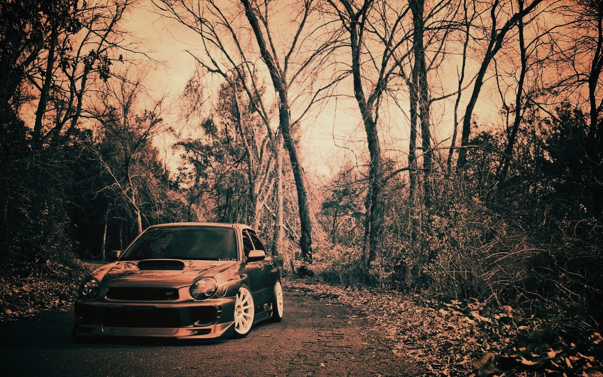 Субару Импреза на лесной дороге обои