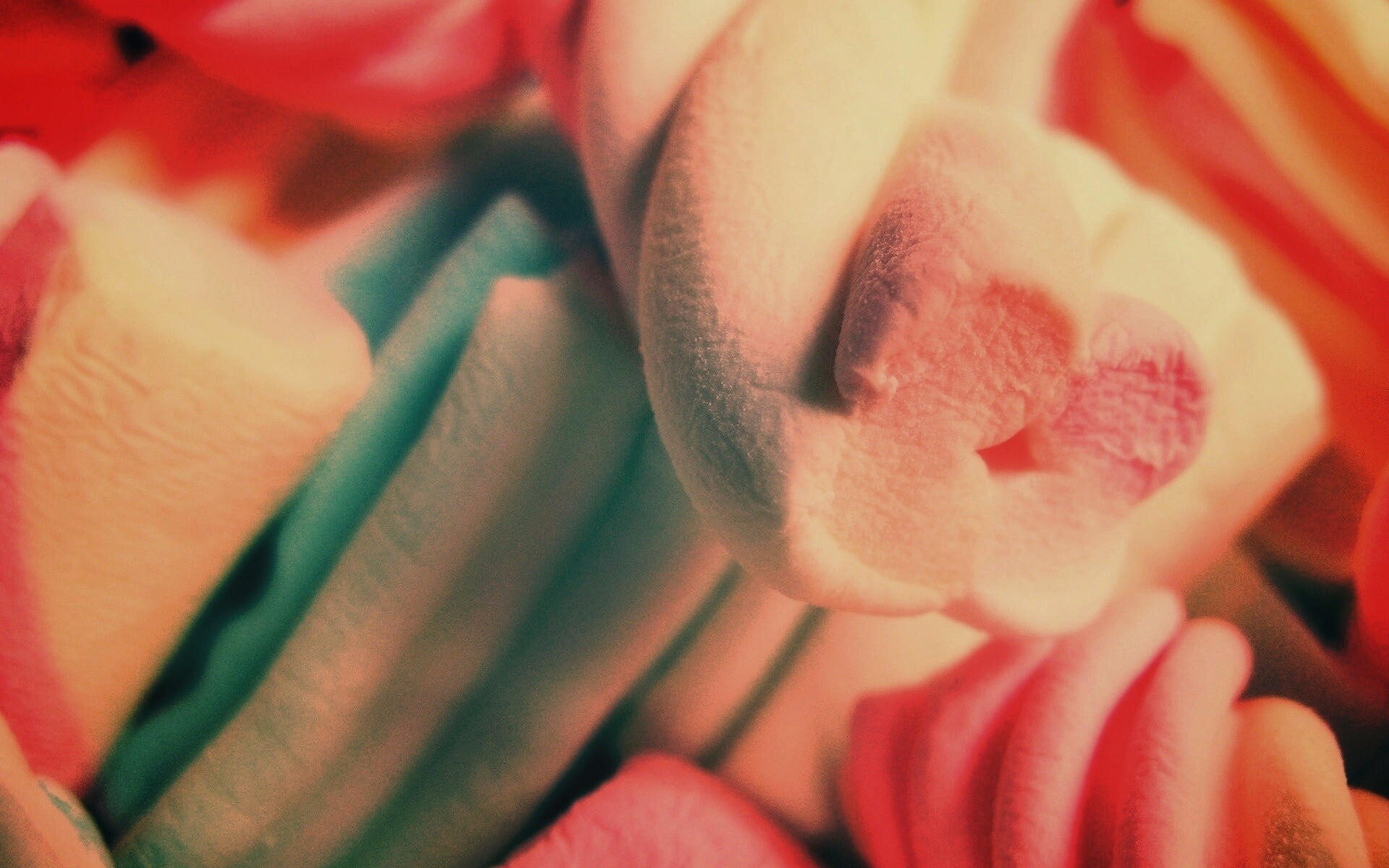 Кручёный зефир обои