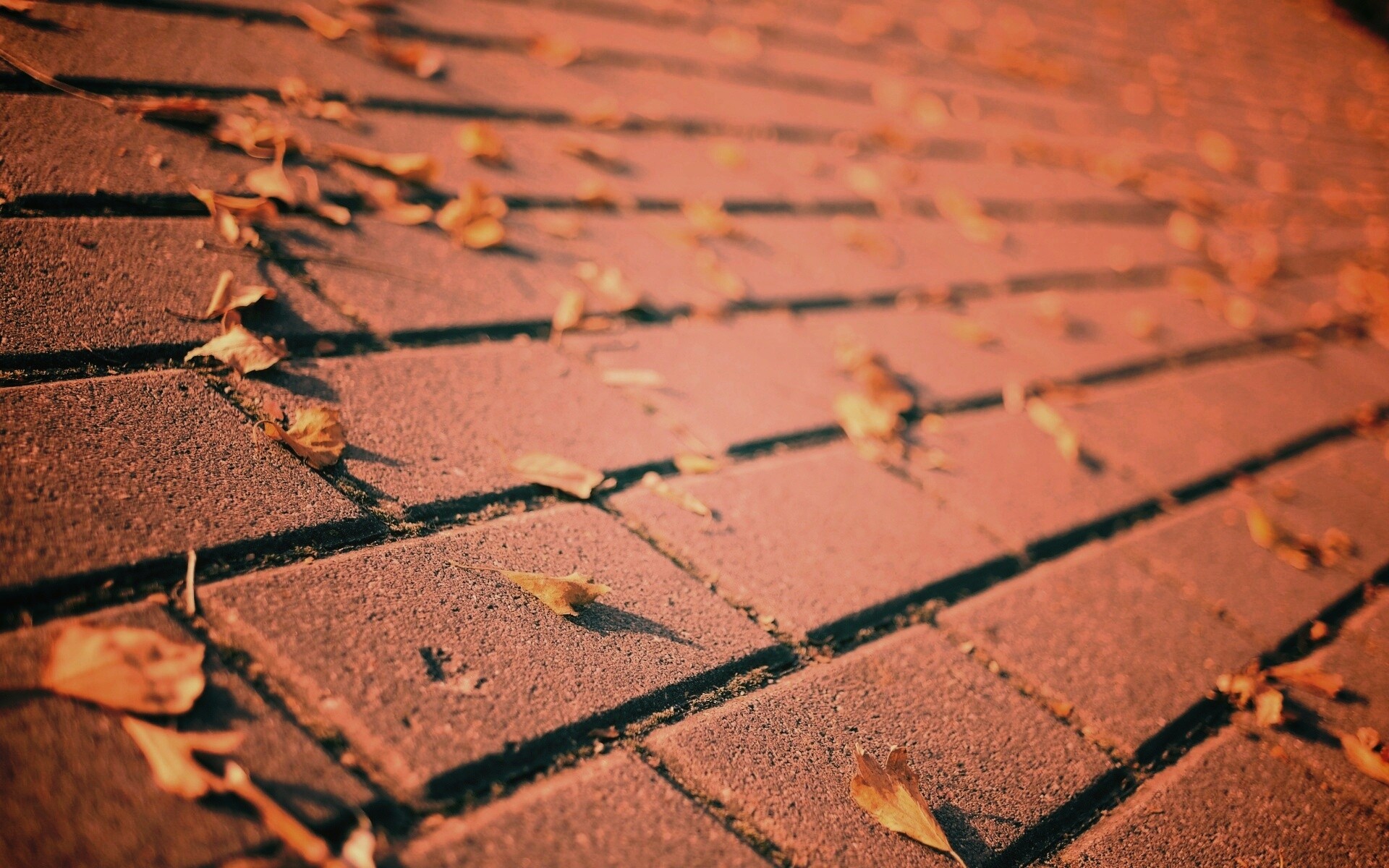 Тротуар обои