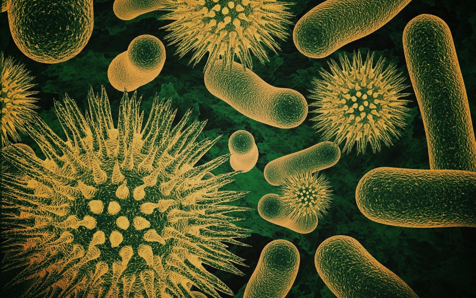 Бактерии обои