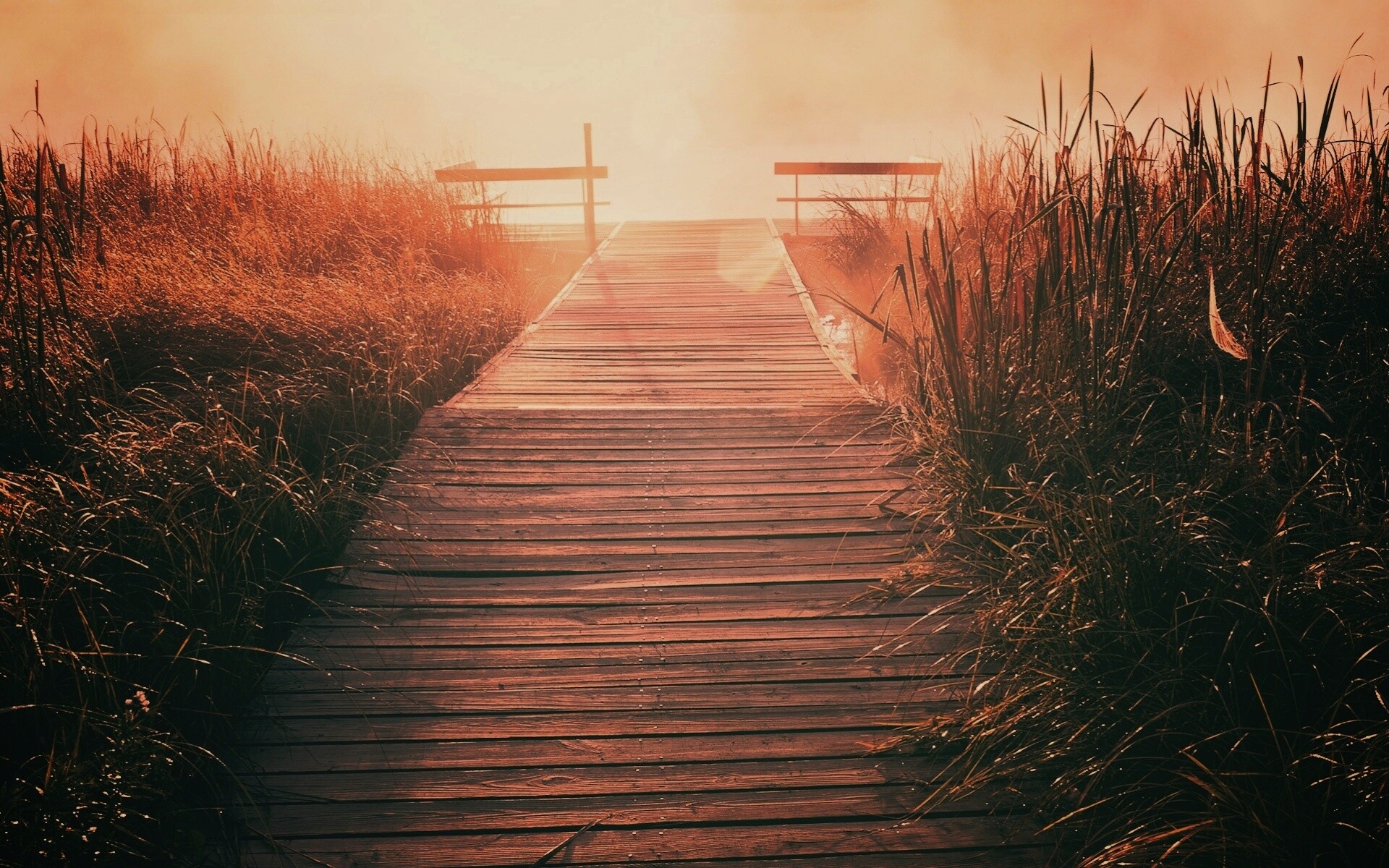 Выход к реке обои