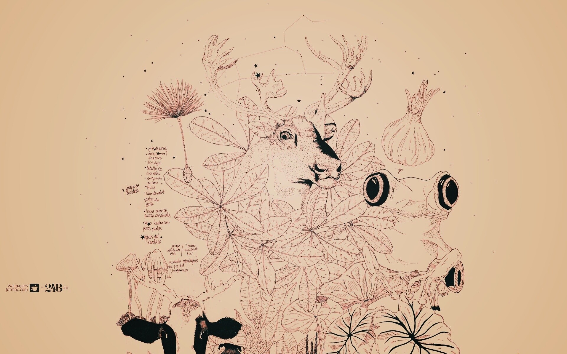 Животные на рабочий стол Apple обои