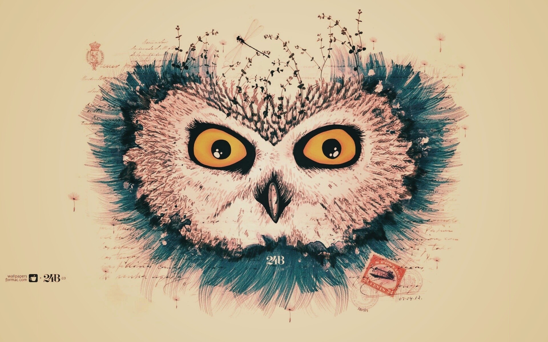 Обои сова для mac book обои
