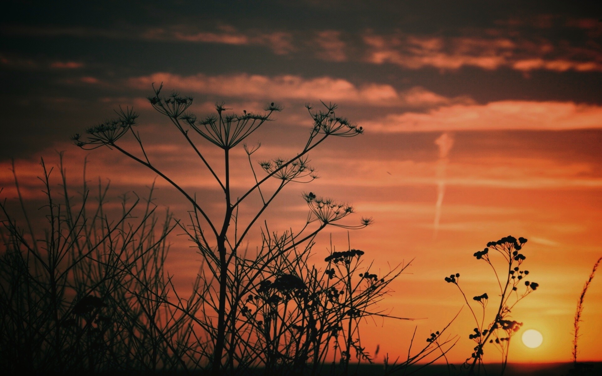 Степной закат обои