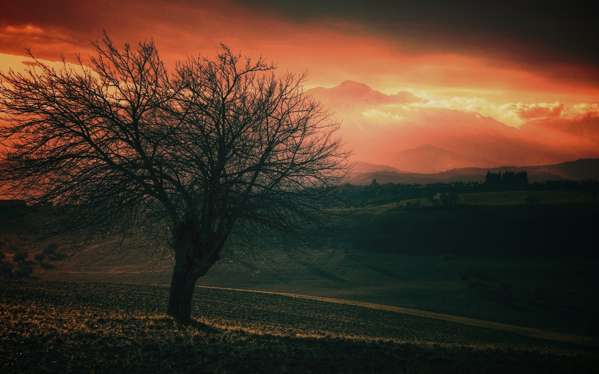 Дерево и горы обои